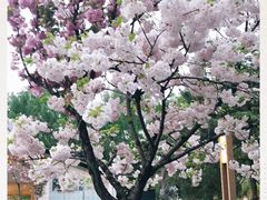 -唐城墙遗址公园
