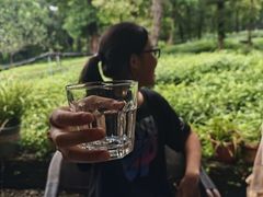 -野蔓果·山野菜(西湖景区·龙井茶田店)