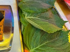 -杨记齐齐哈尔烤肉(总店)