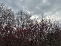 -东湖生态旅游风景区