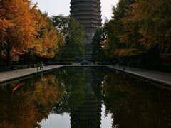 -玲珑塔公园