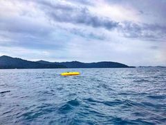 -东姑阿都拉曼海洋公园