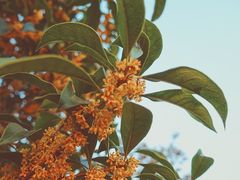 -杭州城北体育公园