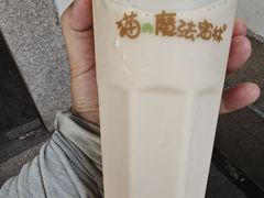 -猫的魔法密林(衣裳街店)