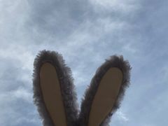 -哈尔滨融创文旅城