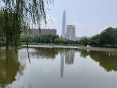 -泰丰公园