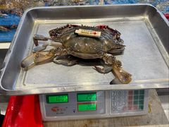 -北塘海鲜·天津菜(大光明桥旗舰店)