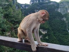 -重庆云阳龙缸景区