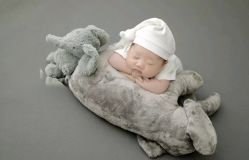 -皇家爱婴高端儿童摄影(苹果园店)