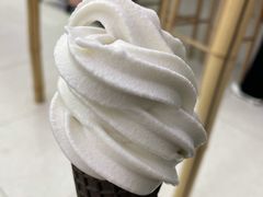 椰子冰淇淋-喜茶(南昌王府井店)