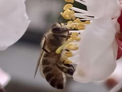 -苏州大学附属第二医院(三香院区)