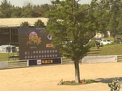 -上林马术中央公园·户外露营·团建·骑乘