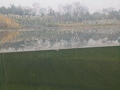 -眉山湿地公园(东坡区)