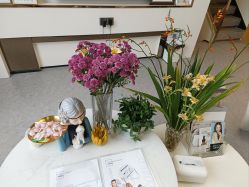 -JNK皮肤管理中心