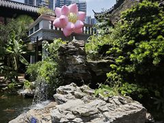 -顺德渔村·岭南一号