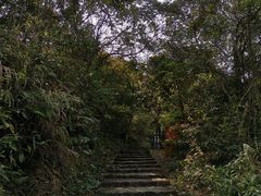 -东莞观音山旅游风景区