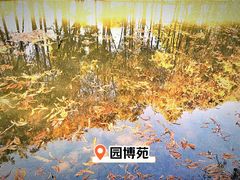 -厦门园林博览苑