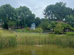 -铁山坪森林公园