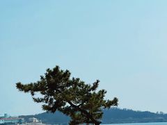 -青岛第一海水浴场
