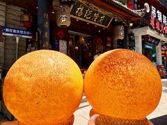 -杨记隆府(重庆总店)