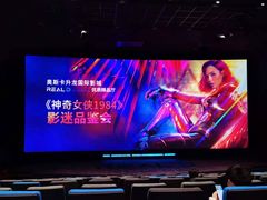 -奥斯卡升龙国际影城(RealD Cinema)