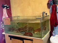 -真浪大家乐海鲜餐馆