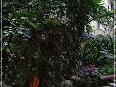 -华厦大酒店·桃源西餐厅·自助餐