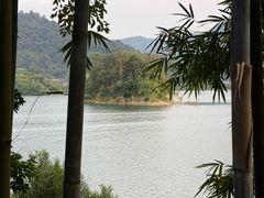 -广州市流溪河国家森林公园