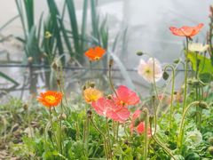 -人民公园(罗湖区)