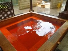 -春晖园度假酒店温泉