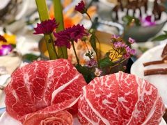 -喜聚薈·花膠雞海鮮火鍋(越秀店)
