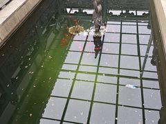 -狼山风景名胜区