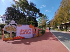 -上海长兴岛郊野公园