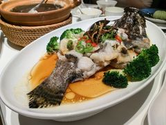 -南棠馆粤菜坊(群光店)