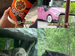 -北京野生动物园