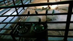 -酷嗒动物文化乐园(cutezoo西溪乐天城店)