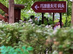 -南宫五洲植物乐园