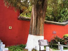 -武侯墓风景区