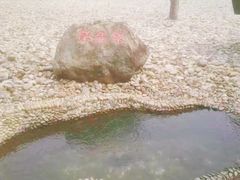 -侵华日军南京大屠杀遇难同胞纪念馆