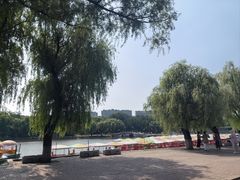 -二一九公园