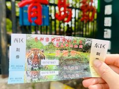 门票-青岛动物园