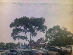 -野生动物园-停车场