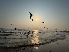 -老虎石海上公园