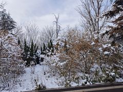 -济南野生动物世界