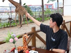 -灵玲国际马戏城