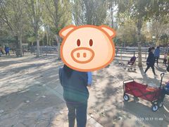 -长白岛森林公园