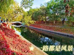 -北京石刻艺术博物馆(五塔寺)