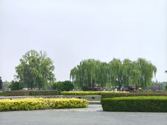 -洛阳市隋唐城遗址植物园