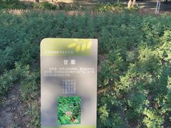 -绿堤公园