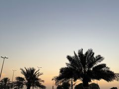 -Dampa Seafood Grill - Dubai
